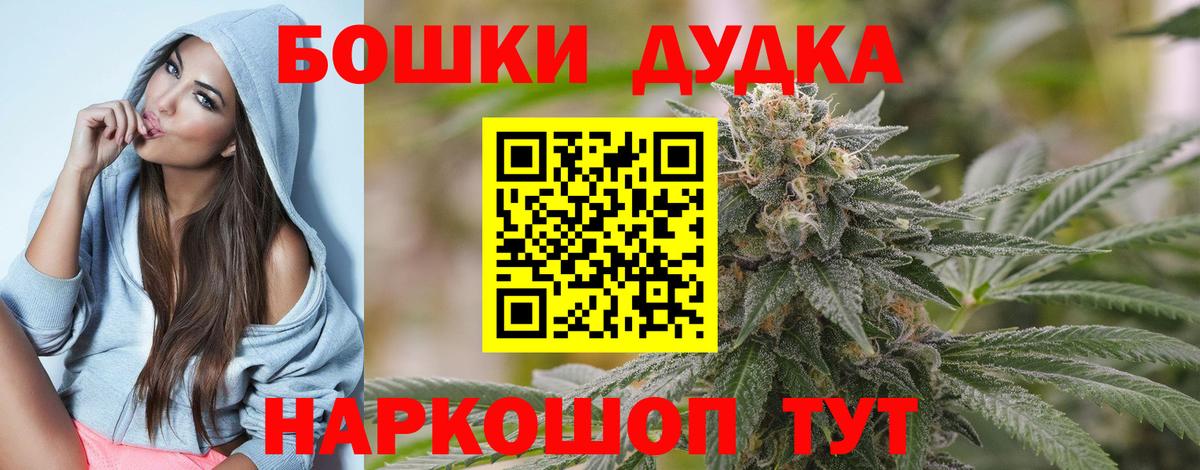 A PVP Кудрово