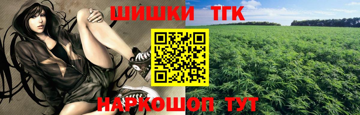 Каннабис сатива Кудрово